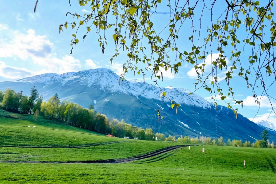 7-Days Northern Xinjiang Tour