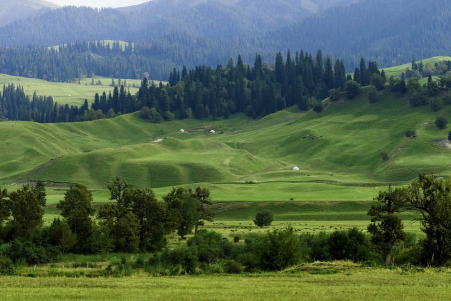 9-Days Northern Xinjiang Tour With Duku Highway