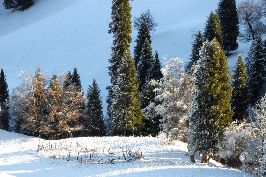 7-Days winter Northern Xinjiang Ili Tour